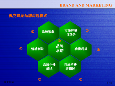 脉动整合营销策划实战工具 驱动品牌增长的立体化作战蓝图